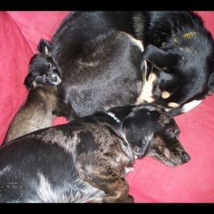 Meet your Posher, Trinity